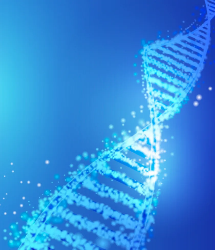 遺伝子解析プランニング