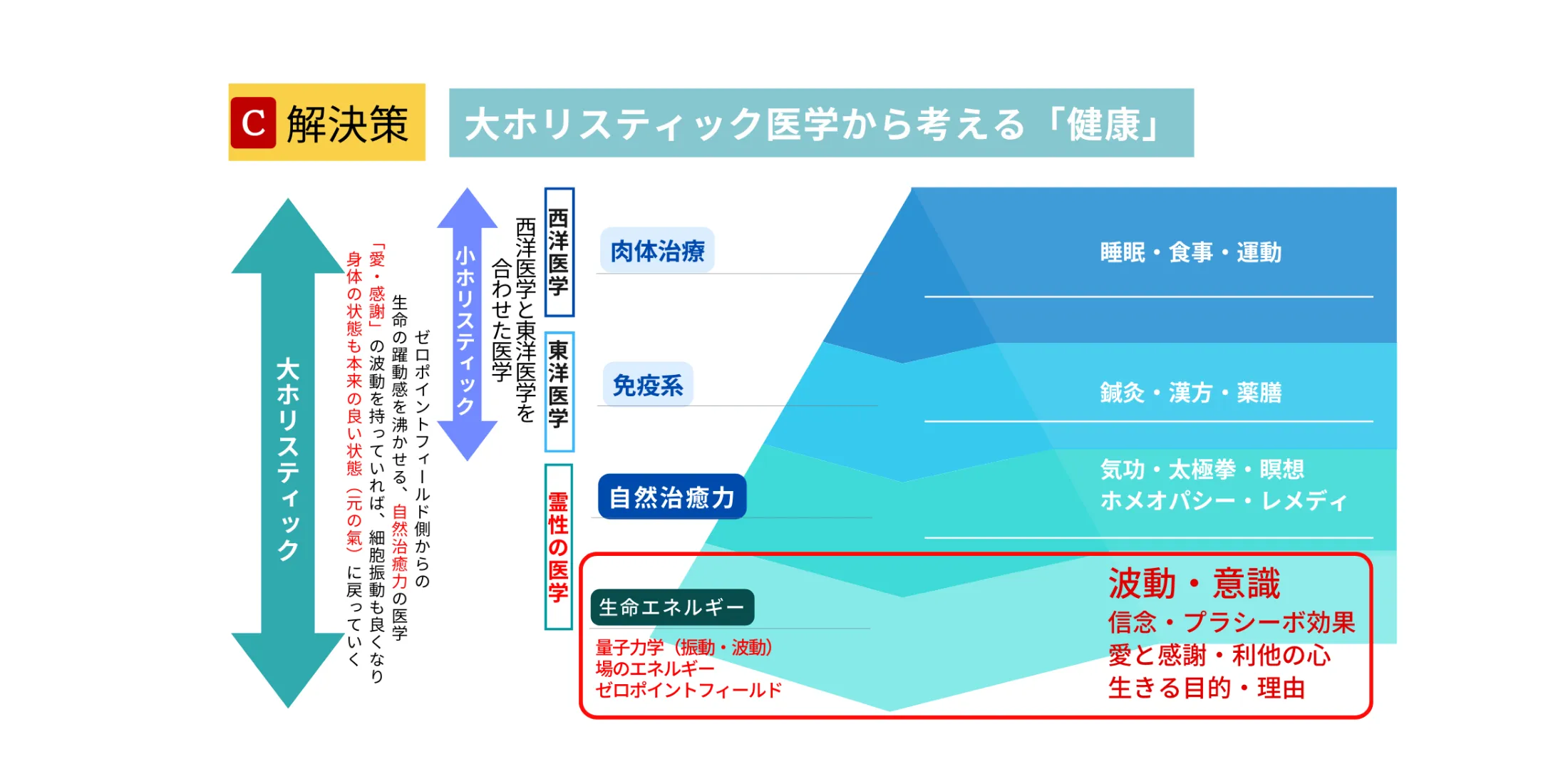 Wellness Gateと他のセミナーとの違い