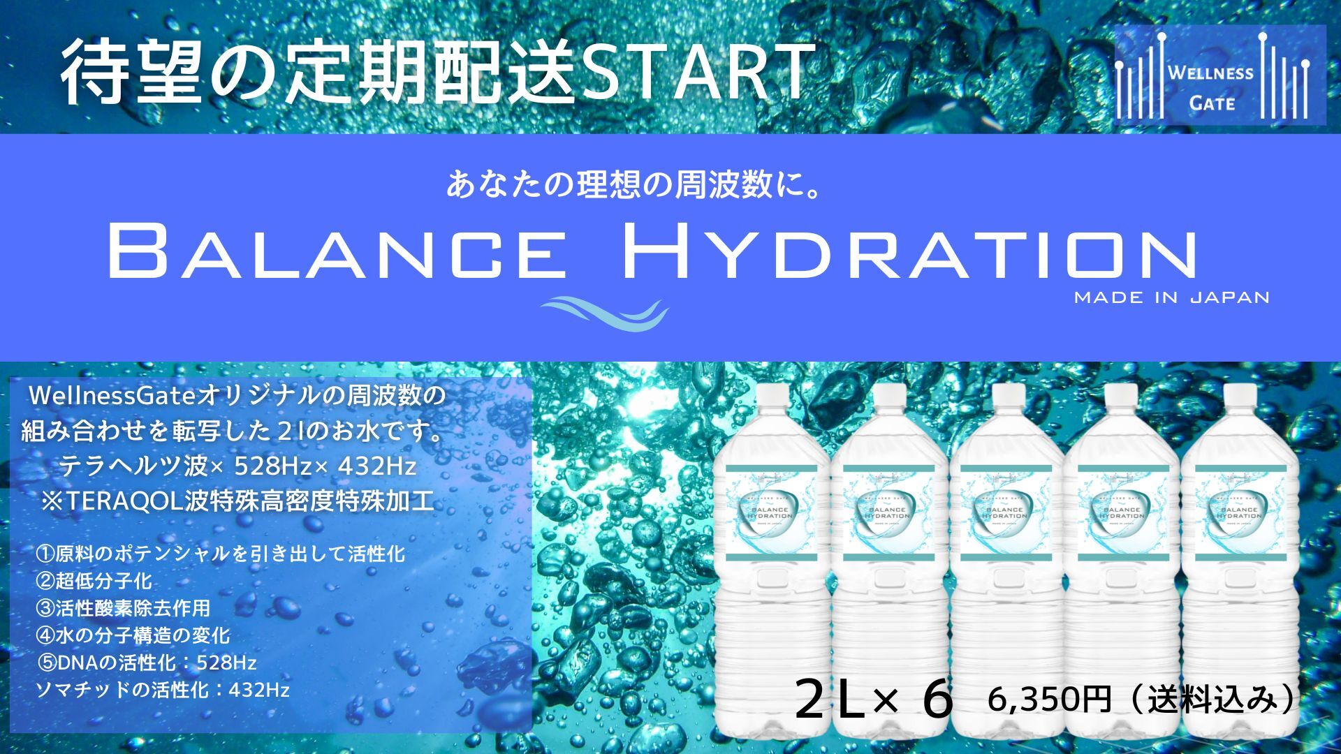 【最低利用期間6ヶ月】Balance Hydration ペットボトル6本セット定期配送