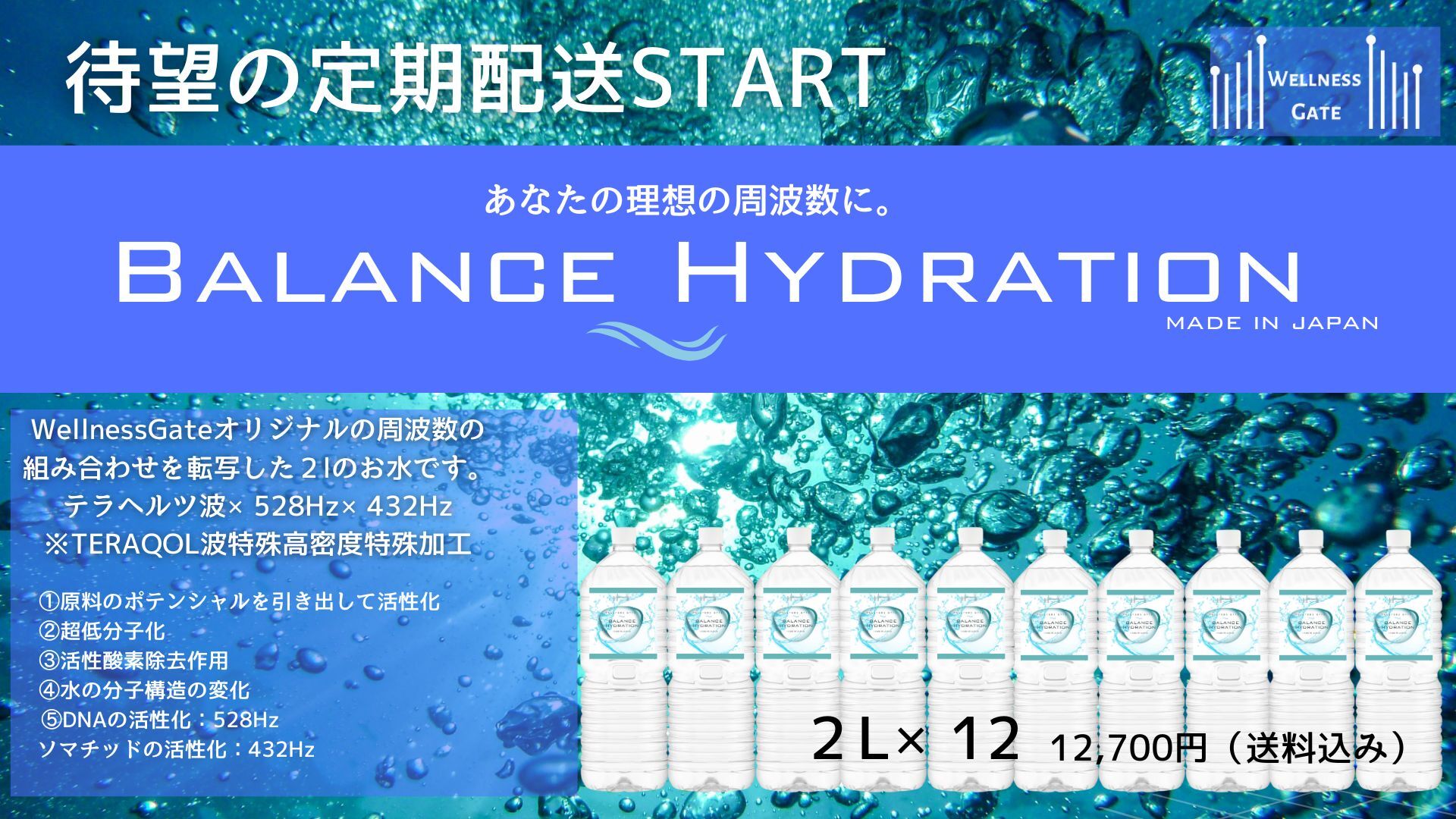 【最低利用期間6ヶ月】Balance Hydration ペットボトル12本セット定期配送