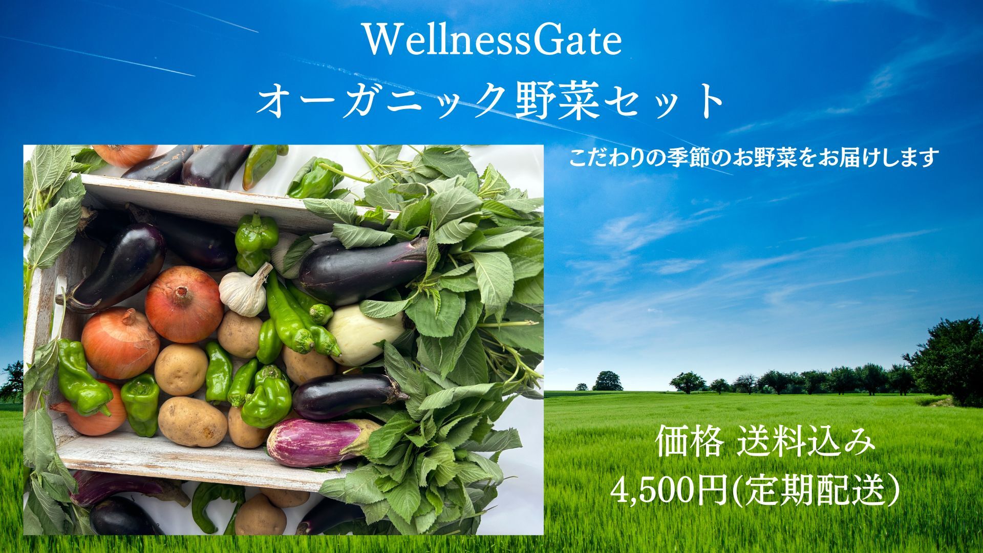 【最低利用期間3ヶ月】Wellness Gate オーガニック野菜セット定期配送