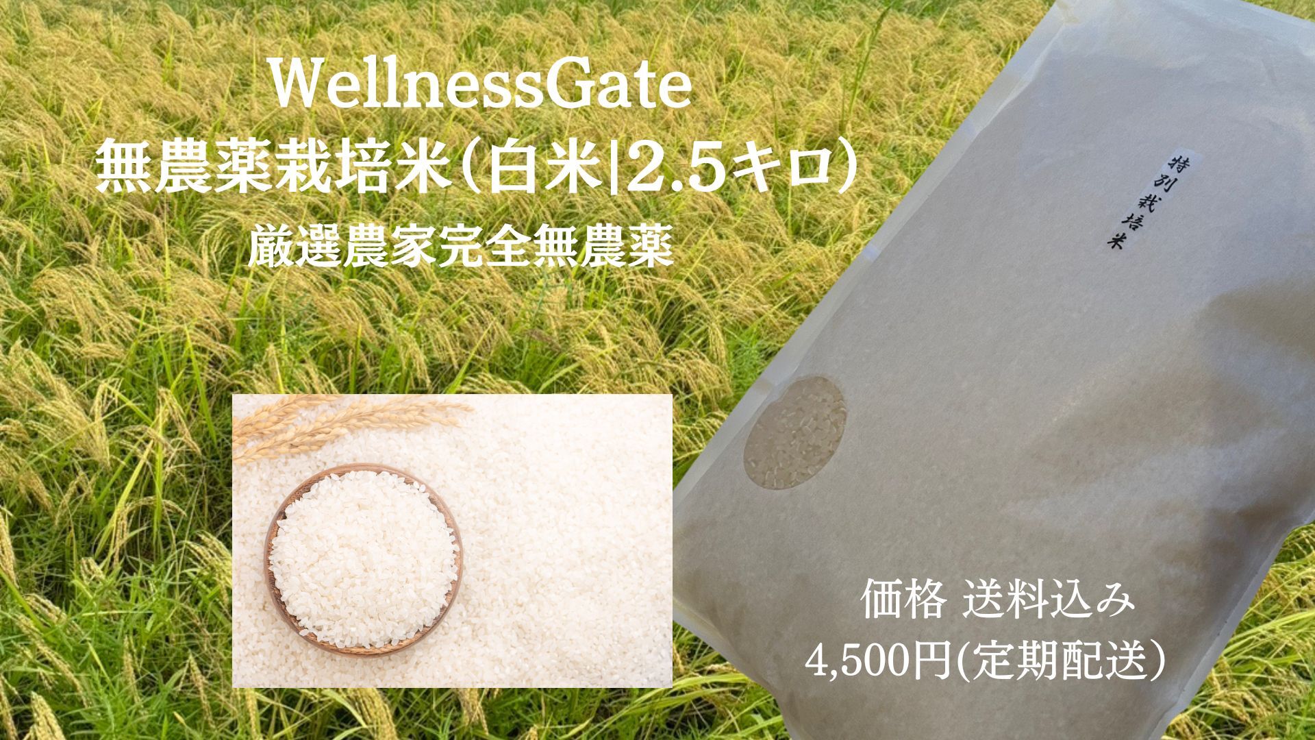 【最低利用期間3ヶ月】Wellness Gate 無農薬栽培米（白米2.5kg）定期配送