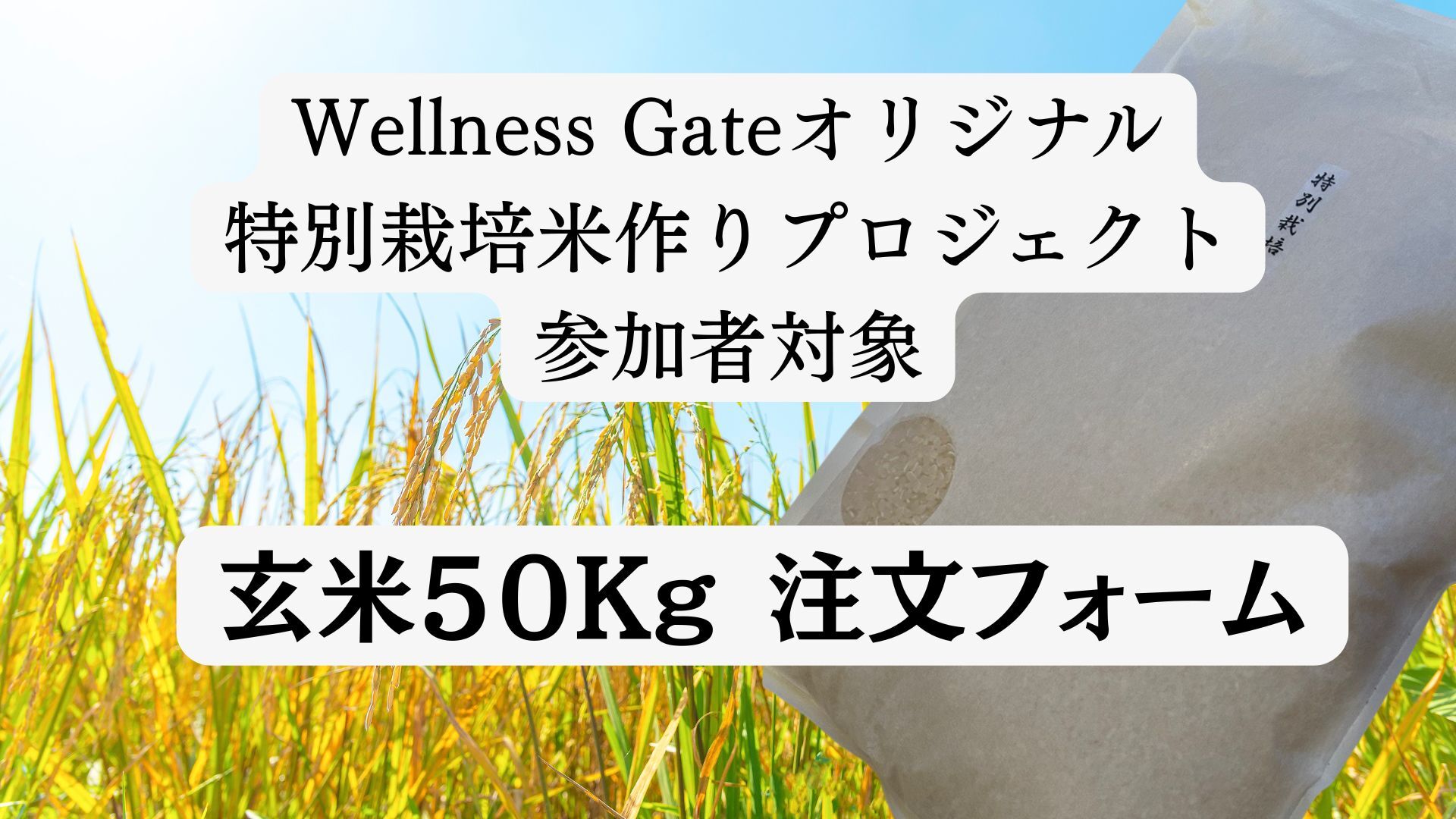【WGオリジナル特別栽培米プロジェクト参加者専用フォーム】玄米50kg